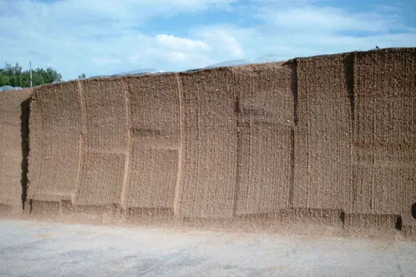 Maissilo Maissilo