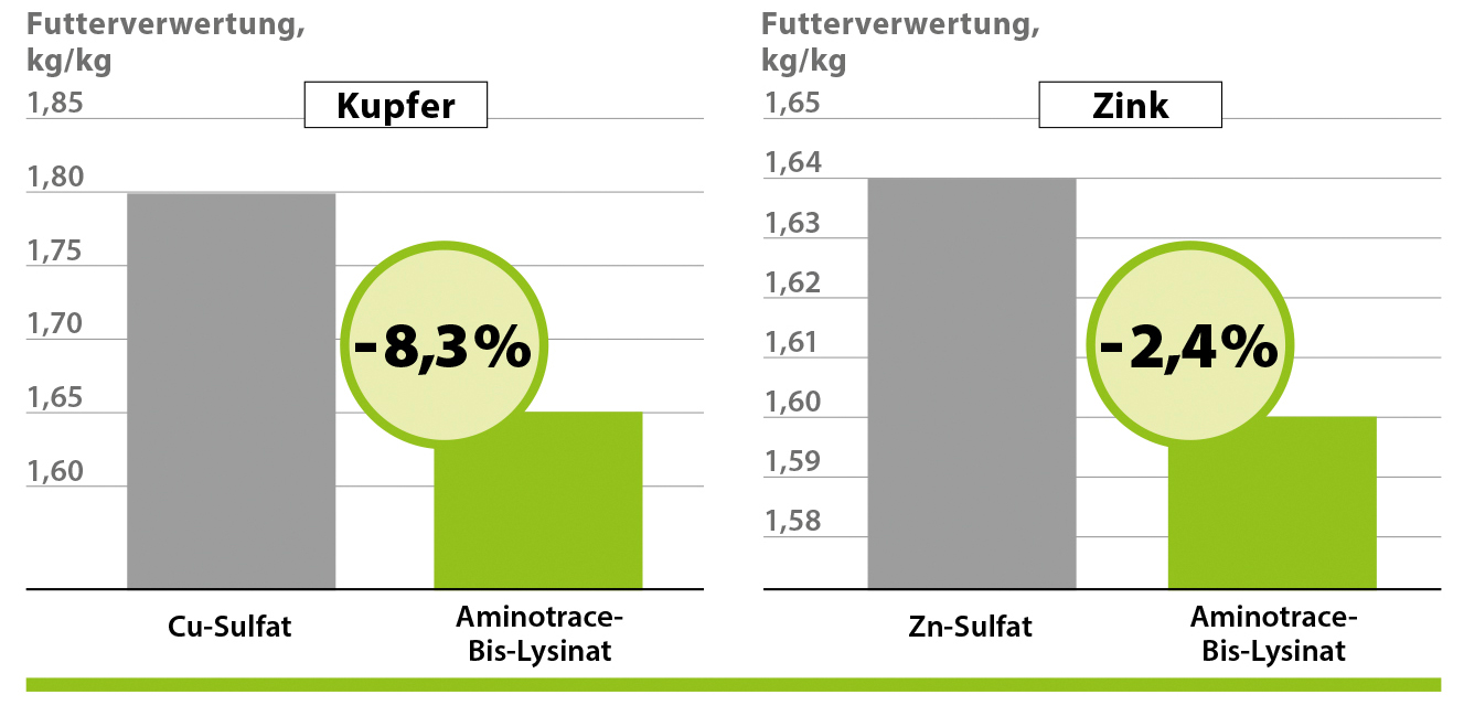 AMINOTRACE bei Geflügel