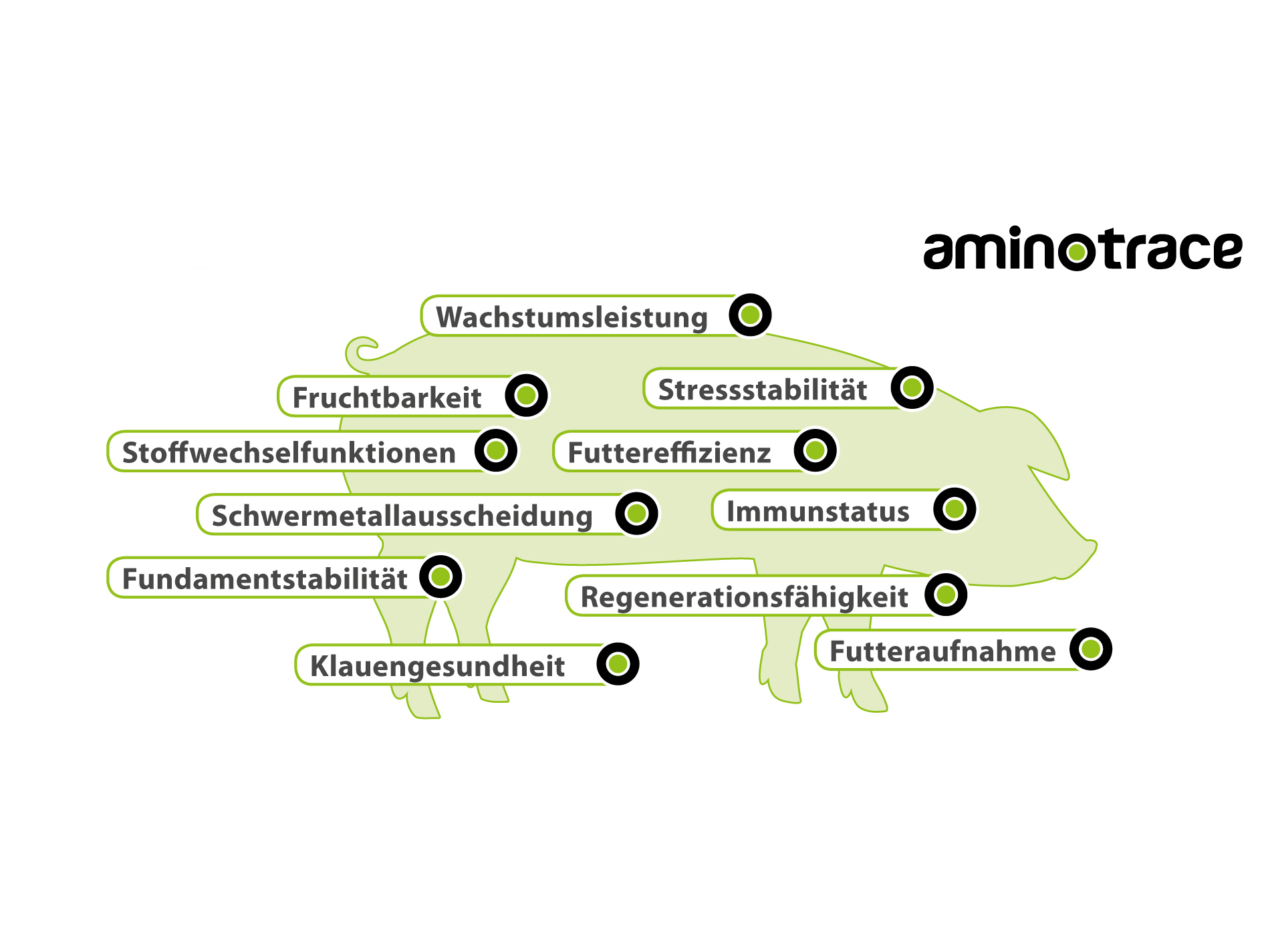 Wirkungsschwerpunkte