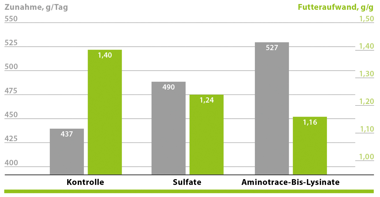 AMINOTRACE steigert die Zunahme
