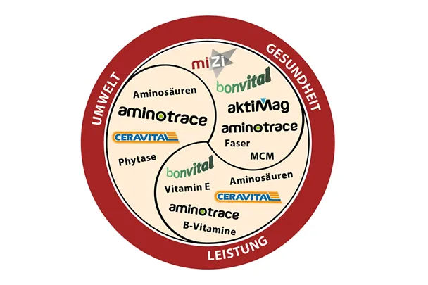 Mineralfutterprogramm Schwein