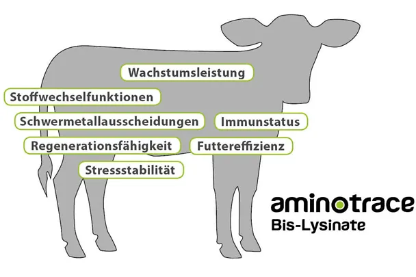 Wirkschwerpunkte von Aminotrace bei Kälbern Wirkschwerpunkte von Aminotrace bei Kälbern