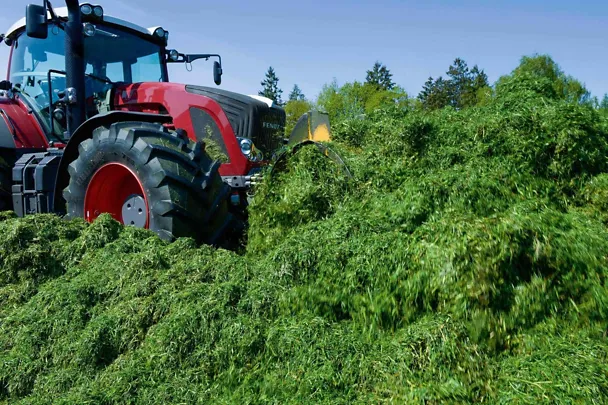 Grassilage Grassilage