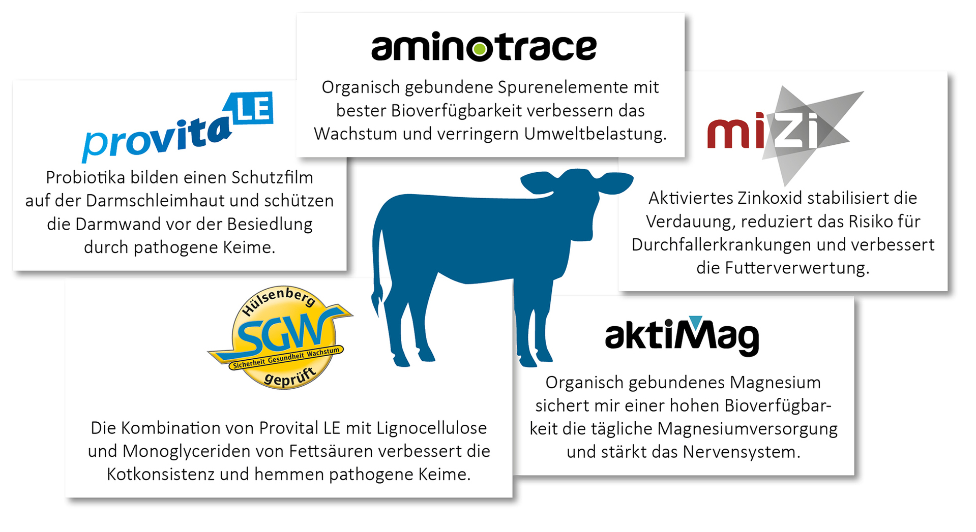 Zusammenspiel der verschiedenen Wirkstoffe für ein gesundes Kalb