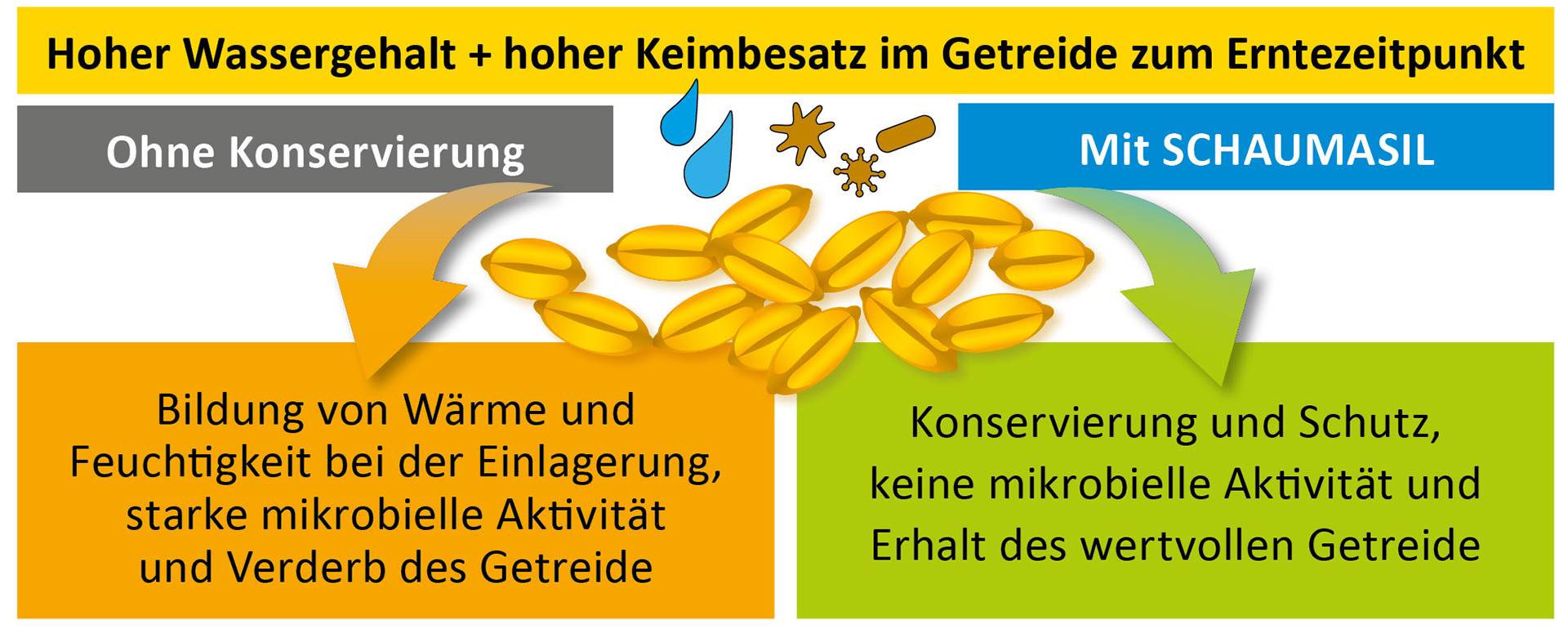 SCHAUMASIL stoppt den mikrobiellen Verderb