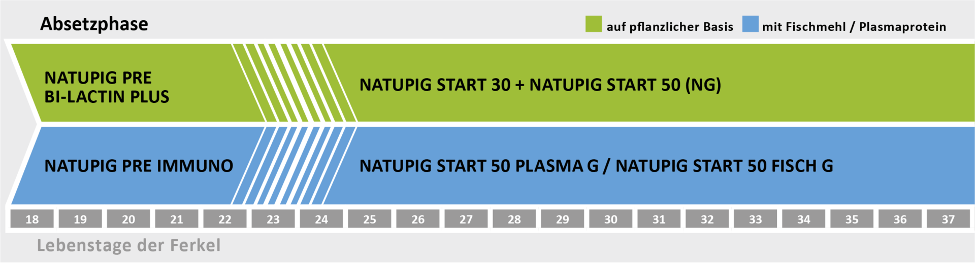 Fütterung in der Absetzphase