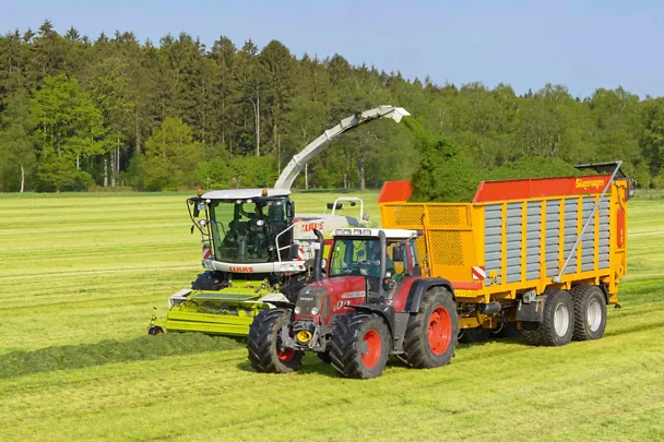 Grassilierung Grassilierung