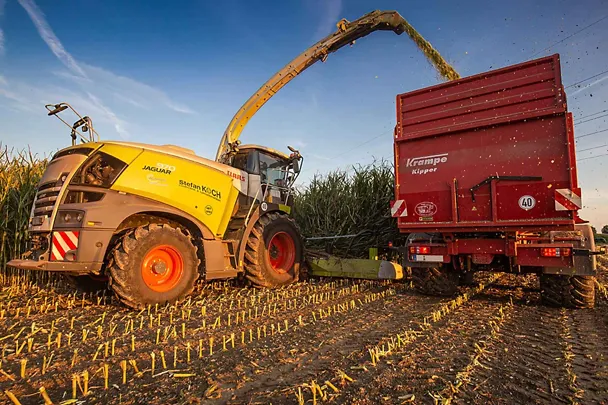 Lohnunternehmen Koch bei der Maisernte