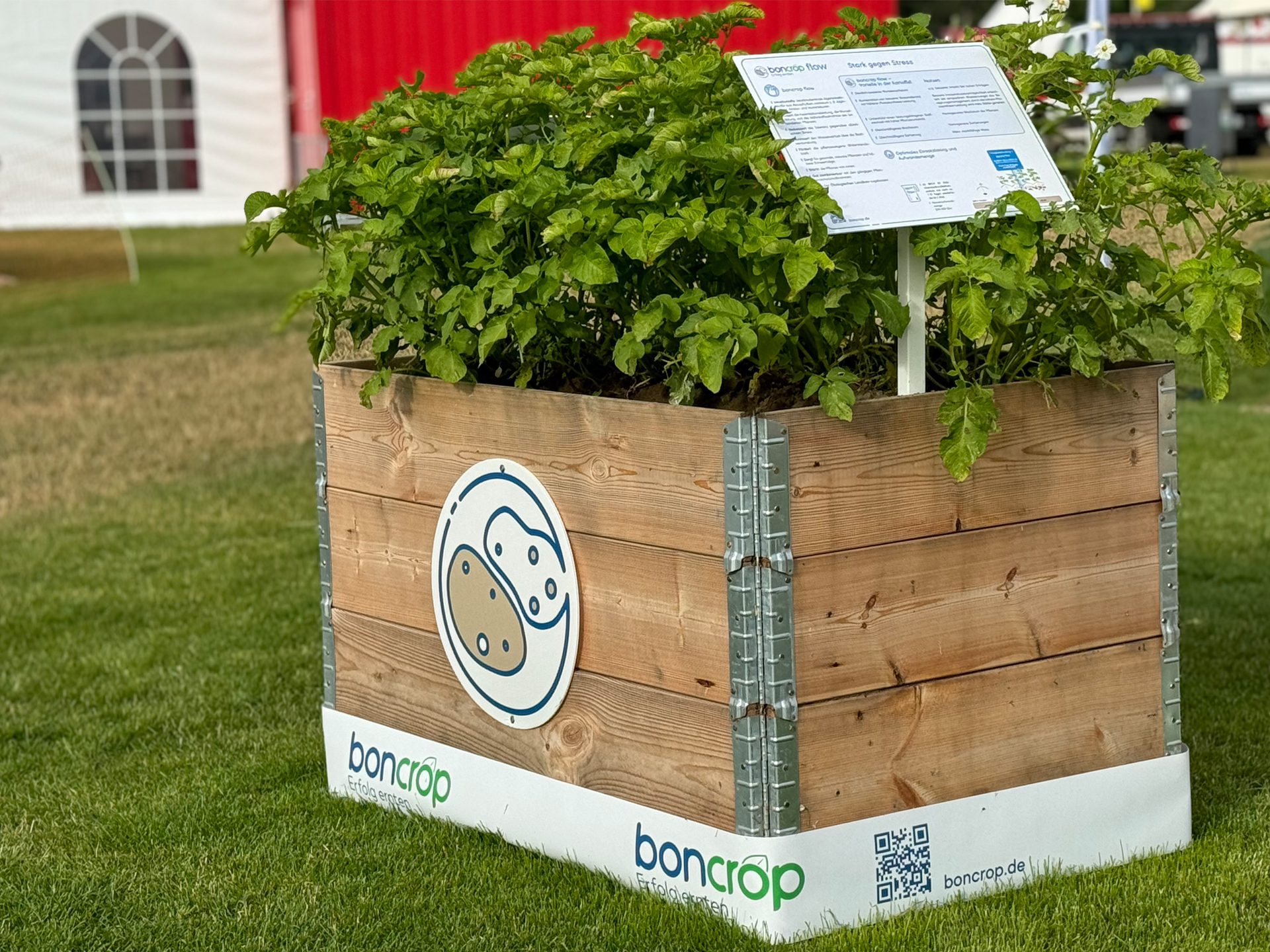 Hochbeet Kartoffel Hochbeet Kartoffel