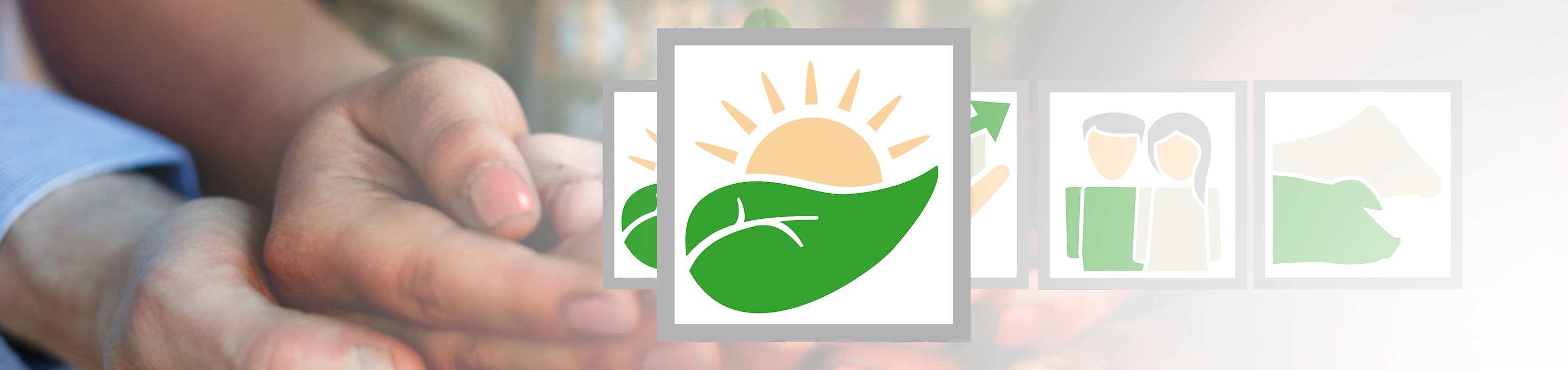 de_fot_54706135_haende_nachhaltigkeit_icons_euk_3000x710px de_fot_54706135_haende_nachhaltigkeit_icons_euk_3000x710px