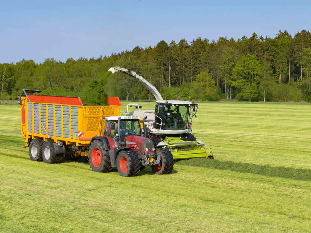 BONSILAGE FIT G wandelt Zucker in Propylenglykol um