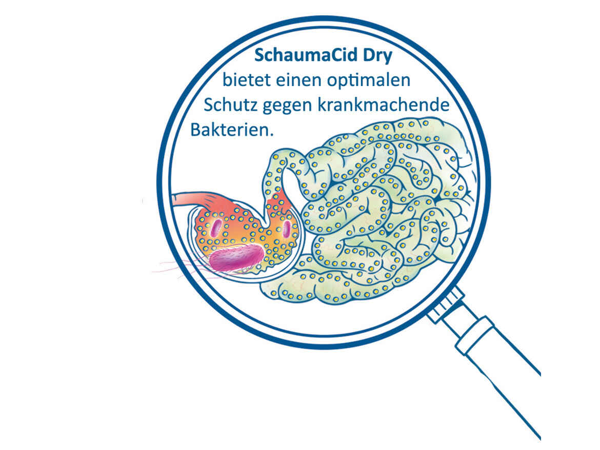 Wirkung von SCHAUMACID DRY