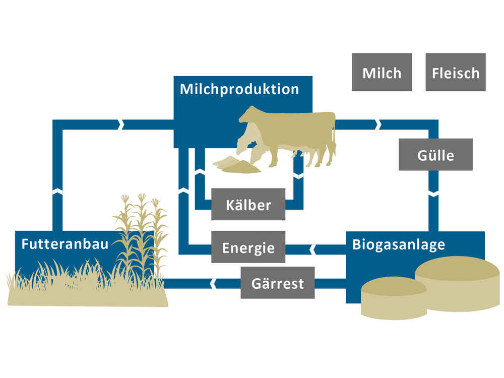Klimaschonende Milcherzeugung auf Gut Hülsenberg