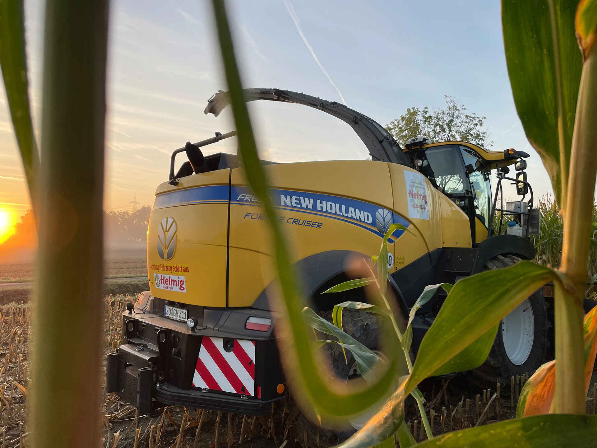 Maishäcksler vom Lohnunternehmer Helmig