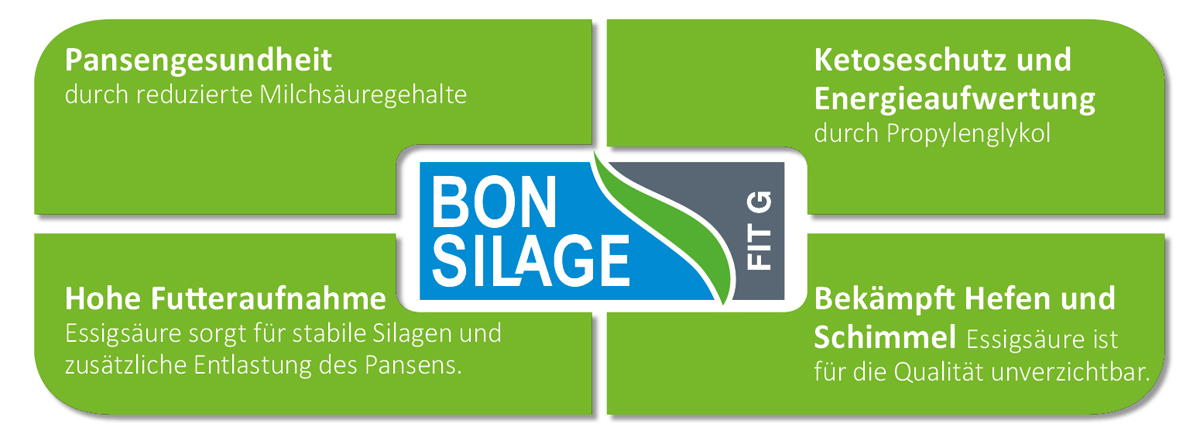 Wirkung von BONSILAGE FIT G