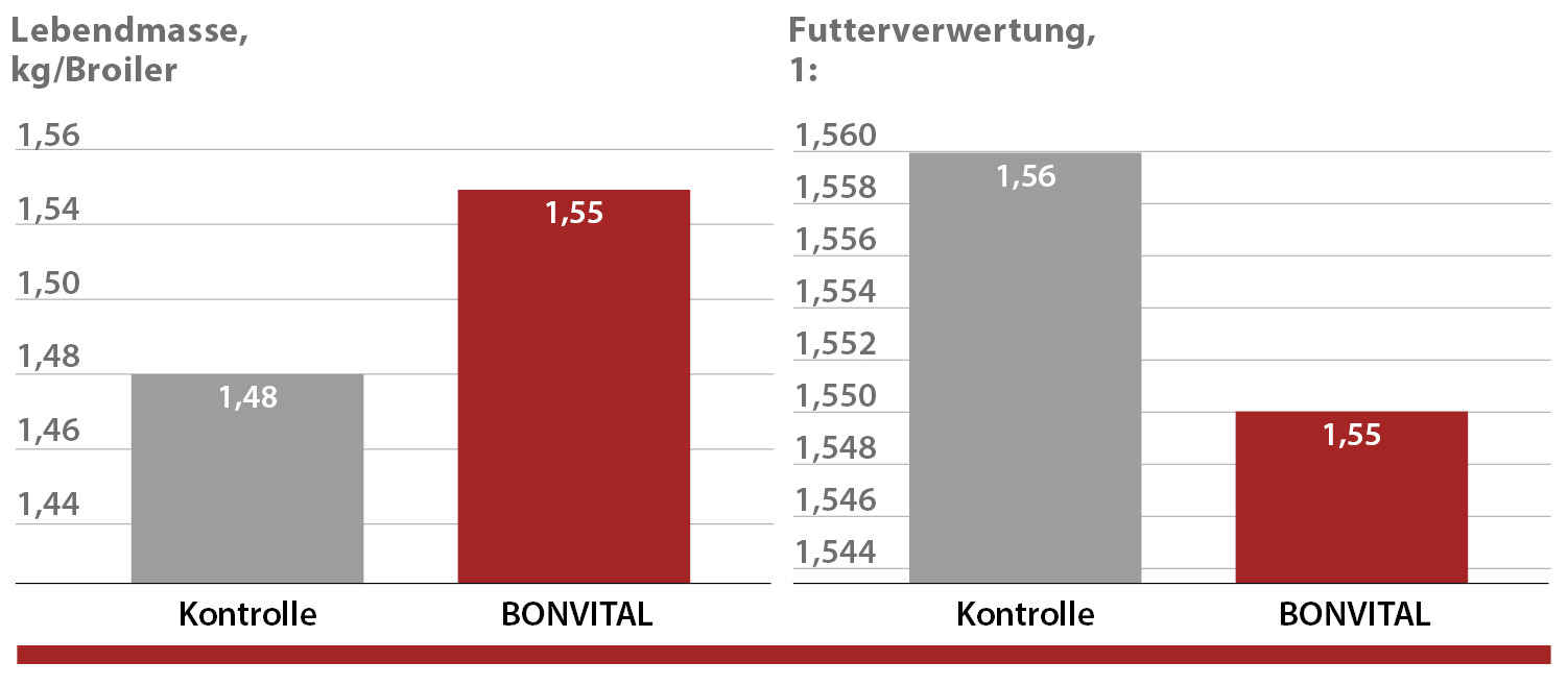 BONVITAL