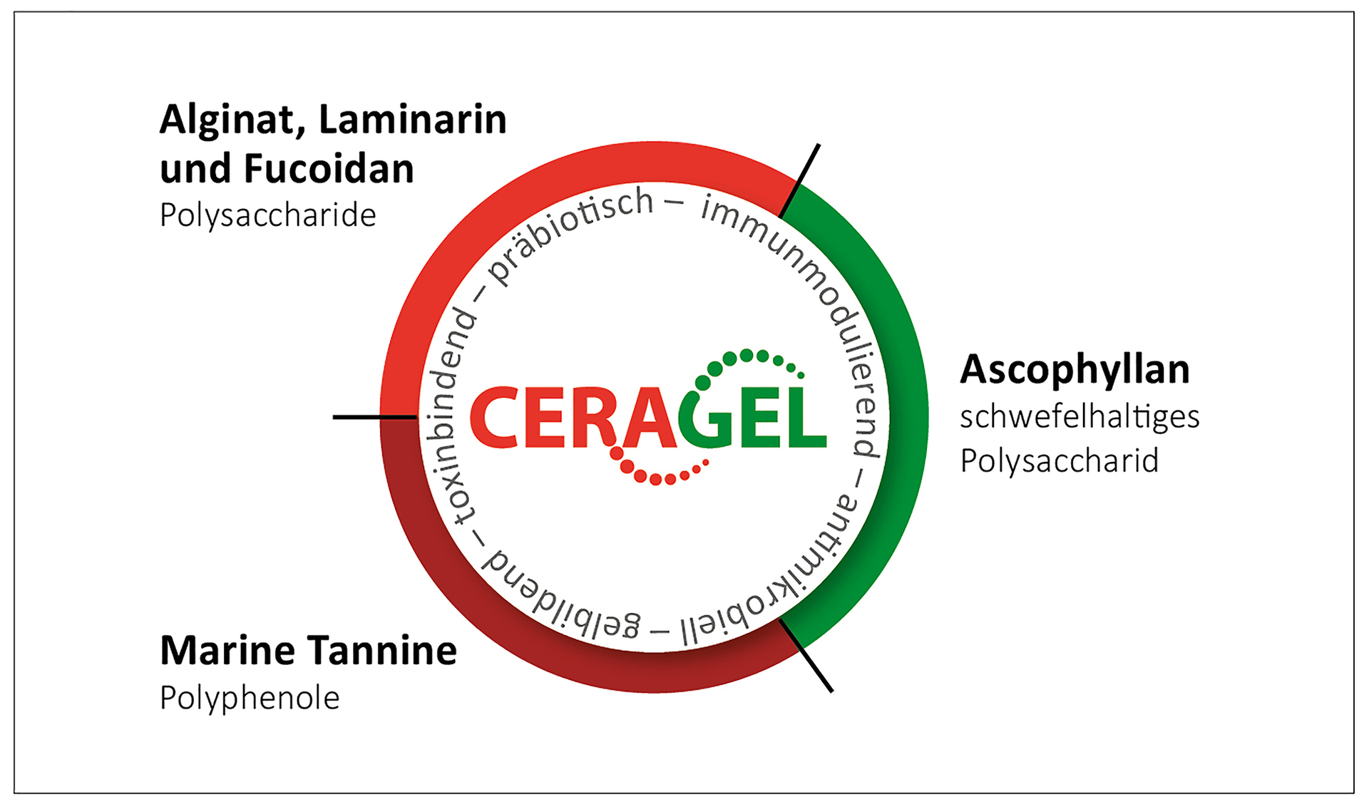 Wirkstoffe und Wirkung von CERAGEL