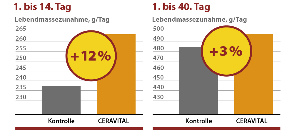 Lebendmassezunahme mit CERAVITAL