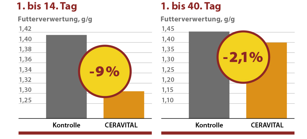 Futterverwertung mit CERAVITAL