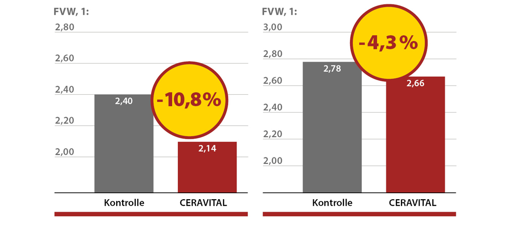 Futterverwertung
