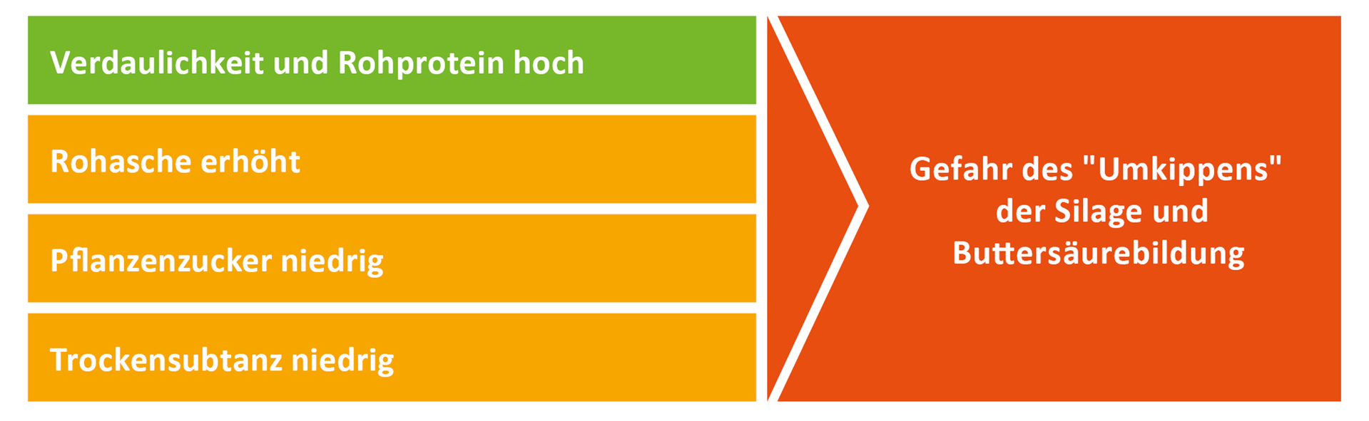 Herbstaufwüchse