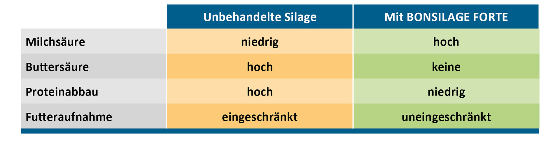 schmackhafte Silagen aus Herbstaufwüchsen