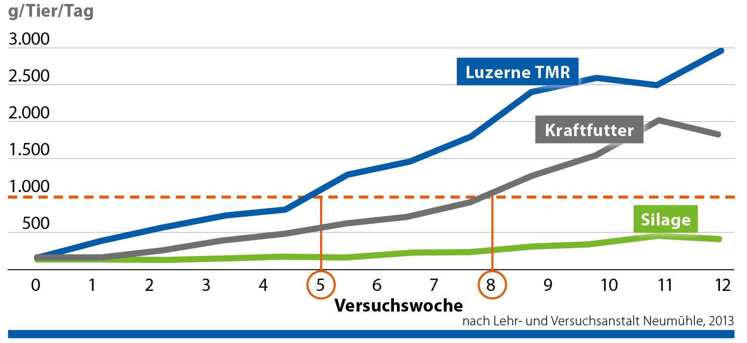 Faustzahlen zum Abtränken von Kälbern