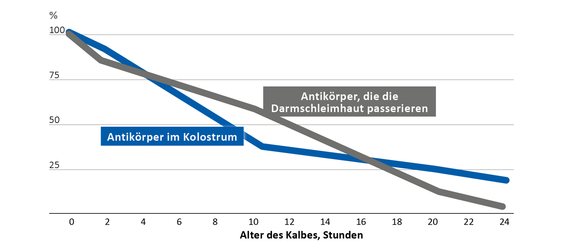 Antikörpergehalt des Kolostrums