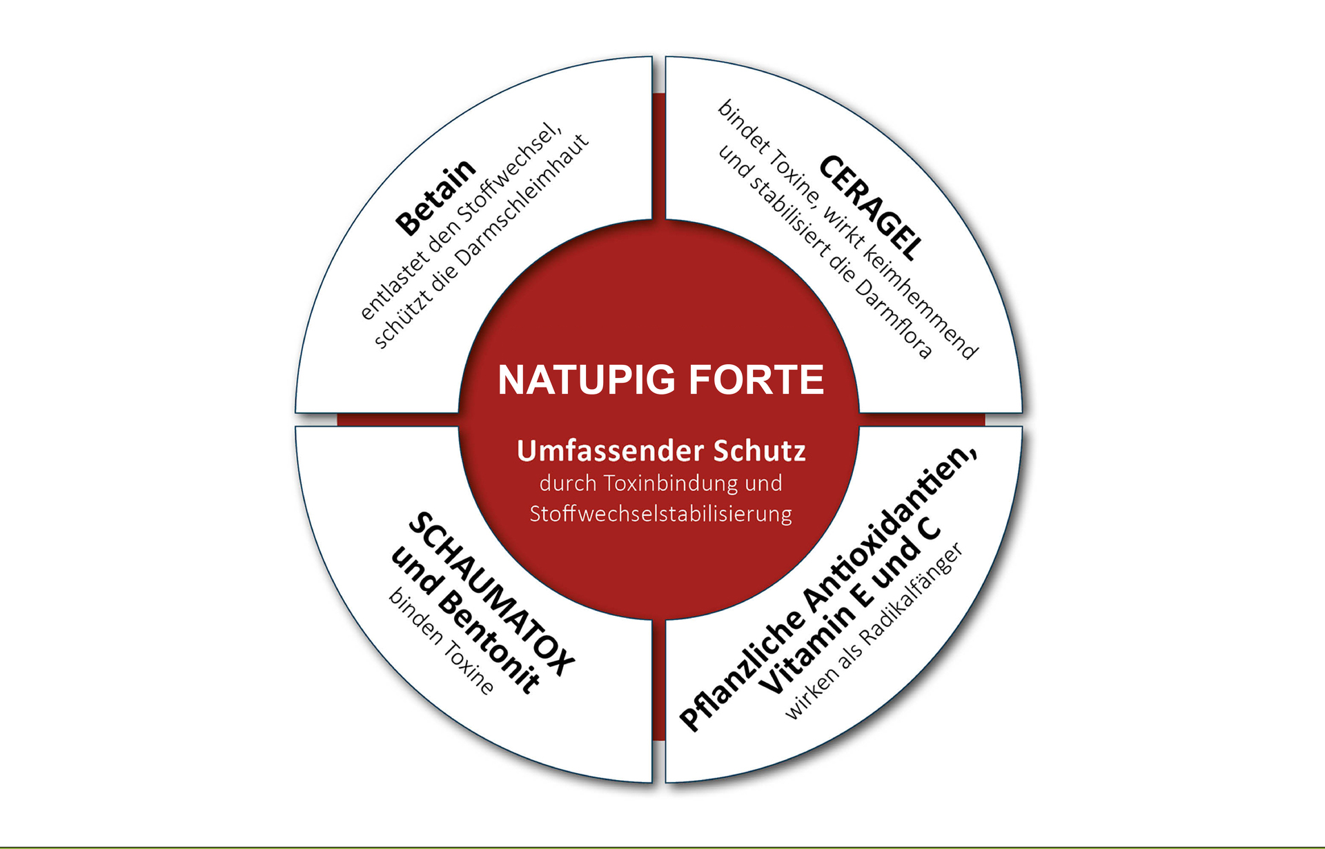 Bausteine von NATUPIG FORTE
