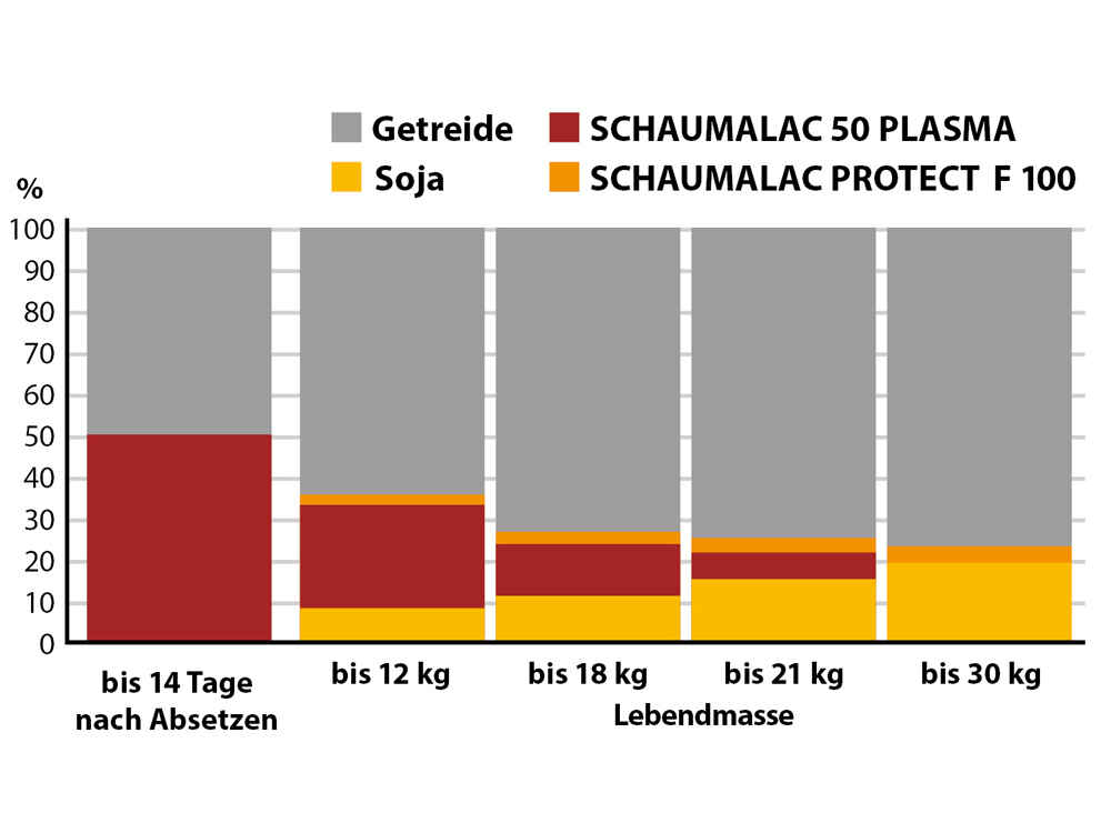 SCHAUMALAC 50 PLASMA G  verbessert die Futterverwertung in der Ferkelaufzucht