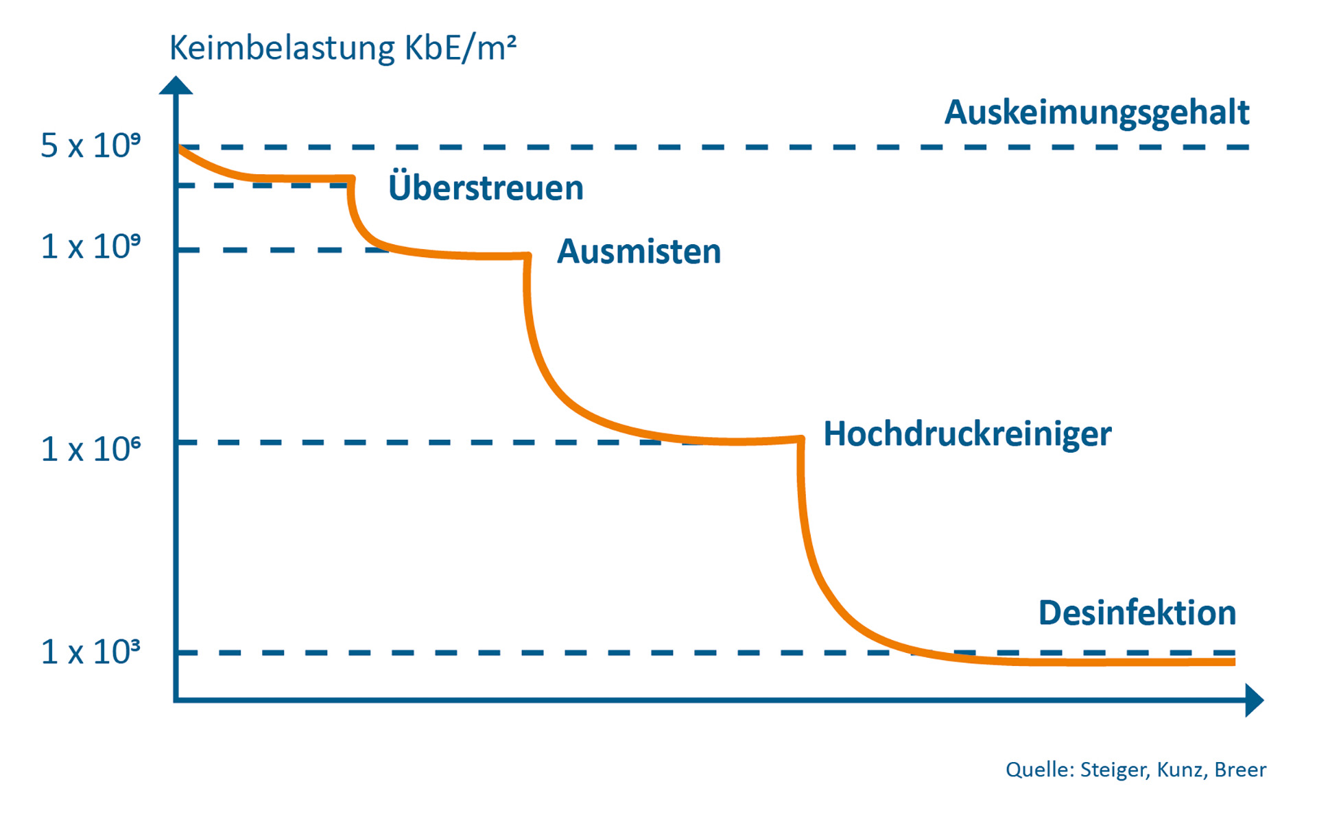 Im Fresserstall senken nur konsequente Reinigung und Desinfektion die Keimbelastung.