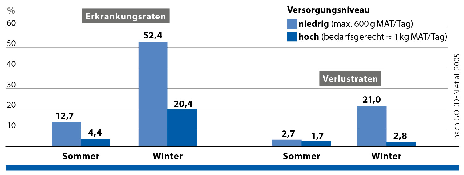 Erkrankungs- und Verlustraten bei Kälbern