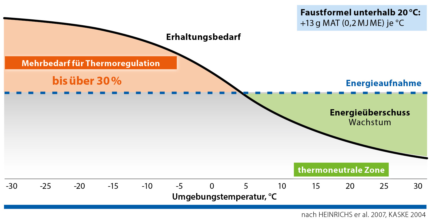 Mehrbedarf für Thermoregulation
