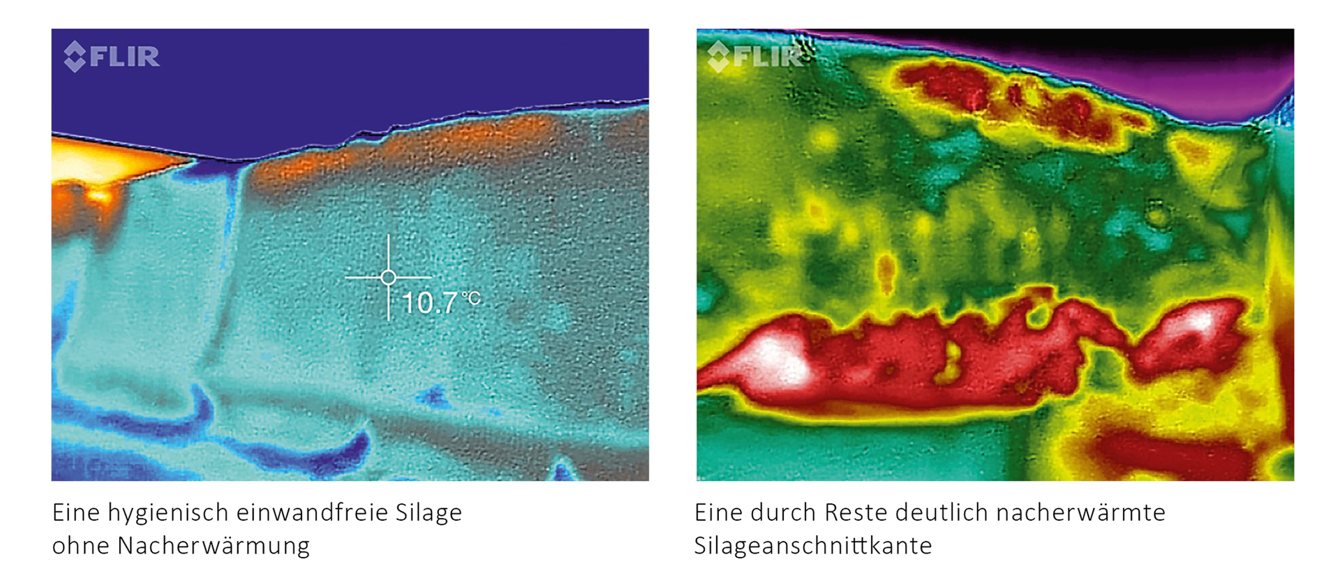 Wärmebilder zeigen deutlich die Nacherwärmung am Anschnitt