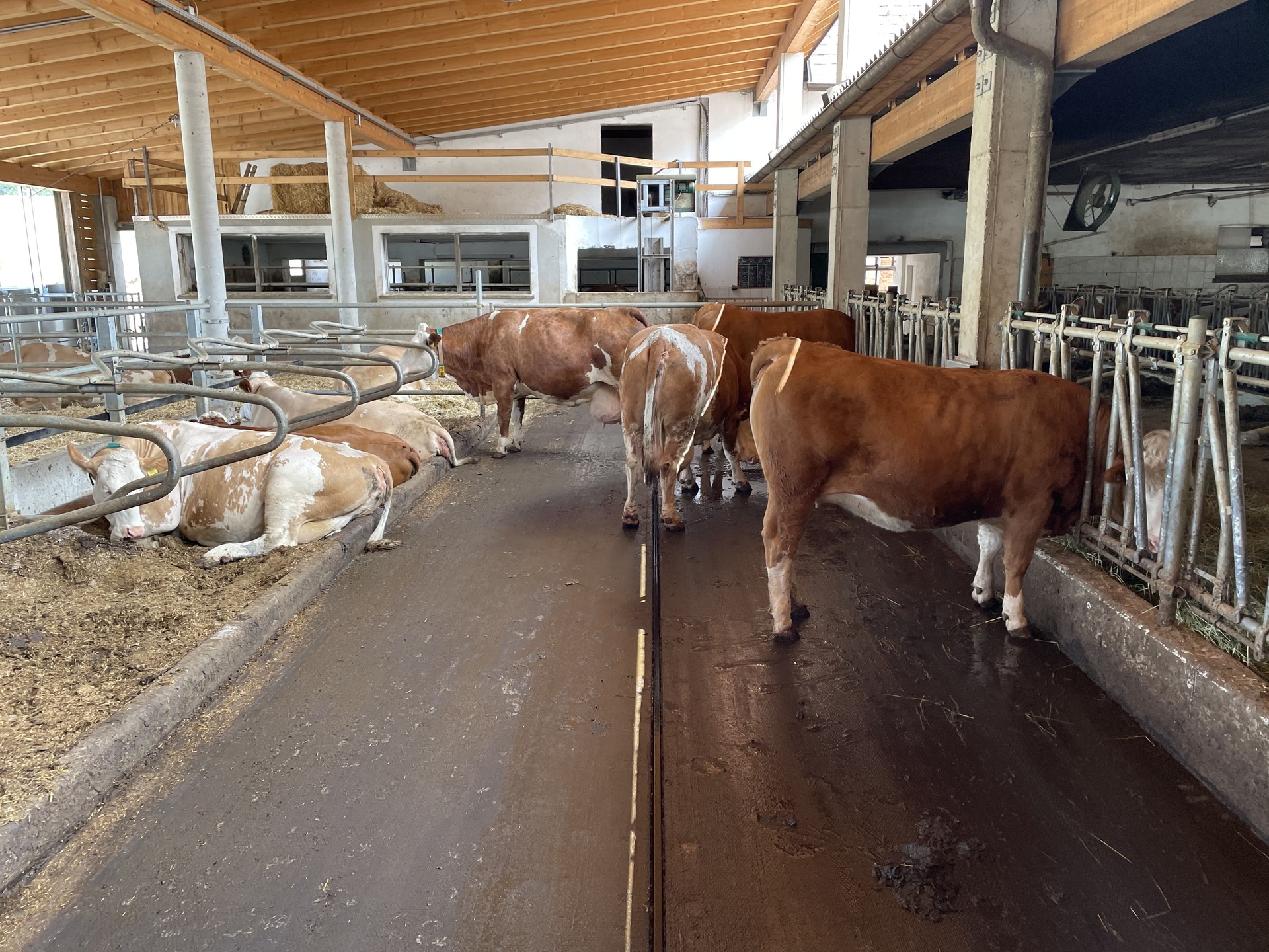 Trockensteherbereich am Betrieb Höritzauer 2